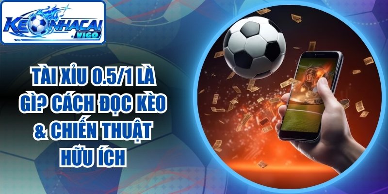 Tài Xỉu 0.5/1 Là Gì